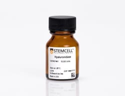 STEMCELL Technologies&nbsp;Hyaluronidase, Size: 300000 U