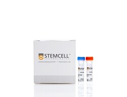 STEMCELL Technologies qPCR Master Mix Kit , Size: 1 mL, Quantity: Each