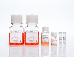 STEMCELL Technologies StemSpan T Cell Generation Kit, Size: 1 Kit, Quantity: