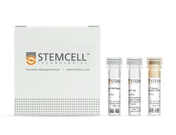 STEMCELL Technologies&nbsp;RoboSep&trade; FITC Positive Selection Kit II, For processing: 1 x 10^9 cells