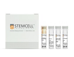 STEMCELL Technologies EasySep Human PE Positive Selection Kit II, For processing: