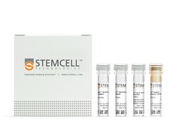 STEMCELL Technologies EasySep "Do-It-Yourself" Positive Selection Kit II,