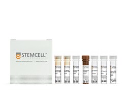 STEMCELL Technologies EasySep Human ILC2 Isolation Kit, For processing: