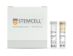 STEMCELL Technologies EasySep Human CD56 Positive Selection Kit II, For