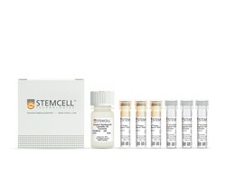 STEMCELL Technologies&nbsp;RoboSep&trade; HLA Chimerism Whole Blood Lymphoid Positive Selection Kit, For processing: 60 mL buffy coat or whole blood processed