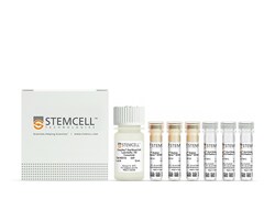 STEMCELL Technologies&nbsp;EasySep&trade; HLA Chimerism Whole Blood CD15 Positive Selection Kit, For processing: 60 mL buffy coat or whole blood processed