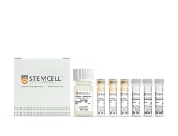 STEMCELL Technologies&nbsp;RoboSep&trade; HLA Chimerism Whole Blood CD4 Positive Selection Kit, For processing: 60 mL whole blood processed