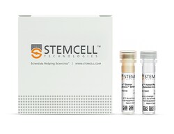 STEMCELL Technologies&nbsp;RoboSep&trade; Human Myeloid Positive Selection Kit II, For processing: 1 x 10^9 cells