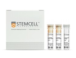 STEMCELL Technologies&nbsp;RoboSep&trade; Human Basophil Isolation Kit, For isolating: 1 x 10^9 cells