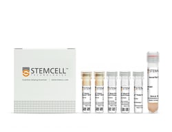 STEMCELL Technologies&nbsp;EasySep&trade; Mouse CD11c Positive Selection Kit II with Spleen Dissociation Medium, For processing: 2 x 10^9 cells