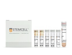 STEMCELL Technologies&nbsp;RoboSep&trade; Mouse CD11b Positive Selection Kit II, For processing: 2 x 10^9 cells