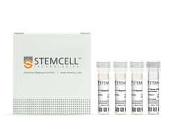 STEMCELL Technologies RoboSep Human CD8+ T Cell Enrichment Kit with Filter