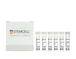 STEMCELL Technologies&nbsp;RoboSep&trade; Human Naïve B Cell Enrichment Kit with Filter Tips, For processing: 1 x 10^9 cells