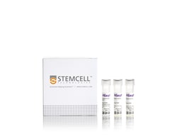 STEMCELL Technologies EasySep Non-Human Primate T Cell Isolation Kit, For