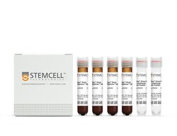 STEMCELL Technologies EasySep Direct Human Total Lymphocyte Isolation Kit
