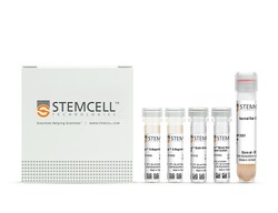 STEMCELL Technologies RoboSep Mouse Neutrophil Enrichment Kit with Filter