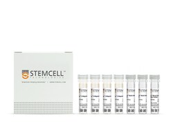 STEMCELL Technologies RoboSep Mouse Plasmacytoid DC Isolation Kit, For