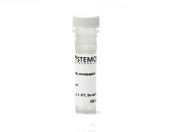 STEMCELL Technologies Anti-Mouse CD25 Antibody, Clone PC61.5, Size: 100