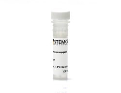 STEMCELL Technologies Anti-Mouse CD25 Antibody, Clone PC61.5, Biotin, Size: