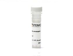 STEMCELL Technologies Anti-Mouse CD25 Antibody, Clone PC61.5, PerCP-Cy5.5,