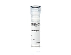 STEMCELL Technologies Anti-Mouse Gr-1 Antibody, Clone RB6-8C5, FITC, Size: