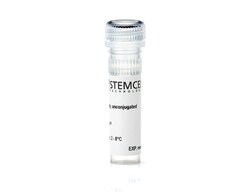 STEMCELL Technologies Anti-Mouse Gr-1 Antibody, Clone RB6-8C5, PE, Size: