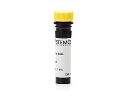 STEMCELL Technologies Anti-Mouse CD43 Antibody, Clone R2/60, Biotin, Size: