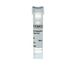 STEMCELL Technologies Anti-Tyrosine Hydroxylase Antibody, Clone TH-2, Size: