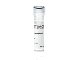 STEMCELL Technologies Anti-Human SSEA-4 Antibody, Clone MC-813-70, FITC,