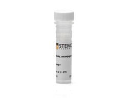 STEMCELL Technologies Anti-Human TRA-1-81 Antibody, Clone TRA-1-81, Size: