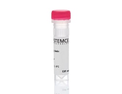 STEMCELL Technologies Anti-Mouse CD45.2 Antibody, Clone 104, Biotin, Size: