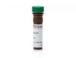 STEMCELL Technologies Anti-Human CD45 Antibody, Clone 2D1, FITC, Size: