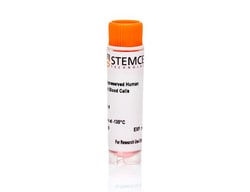 STEMCELL Technologies Human Cord Blood CD8+ T Cells, Frozen, Size: 5 x 10^6 cells