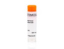 STEMCELL Technologies&nbsp;Human Peripheral Blood CD8+CD45RA+ T Cells, Frozen, Size: 5 x 10^6 cells