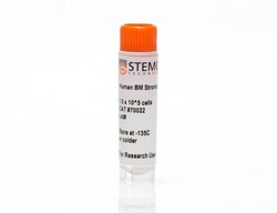 STEMCELL Technologies Human Bone Marrow Stromal Cells Derived in ACF Medium,