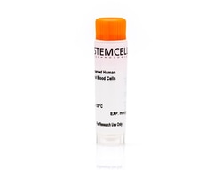 STEMCELL Technologies&nbsp;G-CSF and Plerixafor Mobilized Human Peripheral Blood Mononuclear Cells, Frozen, Size: 5 x 10^7 cells