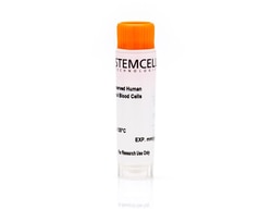 STEMCELL Technologies&nbsp;G-CSF and Plerixafor Mobilized Human Peripheral Blood Mononuclear Cells, Frozen, Size: 5 x 10^6 cells