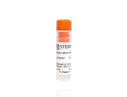 STEMCELL Technologies Mouse Intestinal Organoids, Size: 1 Unit, Quantity: