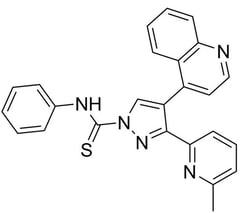 STEMCELL Technologies A 83-01, Size: 5 mg, Quantity: Each of 1