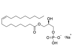 STEMCELL Technologies 1-Oleoyl Lysophosphatidic Acid (Sodium Salt), Size: