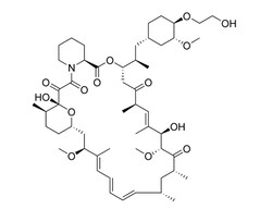 STEMCELL Technologies Everolimus, Size: 25 mg, Quantity: Each of 1
