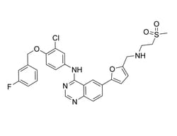 STEMCELL Technologies Lapatinib​, Size: 10 mg, Quantity: Each of 1