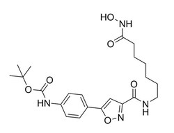 STEMCELL Technologies CAY10603, Size: 1 mg, Quantity: Each of 1