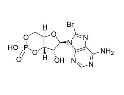 STEMCELL Technologies 8-Bromo-cAMP, Size: 100 mg, Quantity: Each of 1