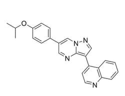 STEMCELL Technologies DMH1, Size: 1 mg, Quantity: Each of 1