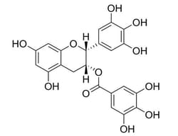 STEMCELL Technologies (-)-Epigallocatechin Gallate, Size: 100 mg, Quantity:
