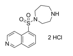 STEMCELL Technologies Fasudil (Dihydrochloride), Size: 10 mg, Quantity: