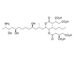 STEMCELL Technologies Fumonisin B1, Size: 10 mg, Quantity: Each of 1