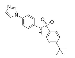 STEMCELL Technologies ISCK03, Size: 10 mg, Quantity: Each of 1