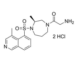 STEMCELL Technologies Rho Kinase Inhibitor IV (Dihydrochloride), Size: